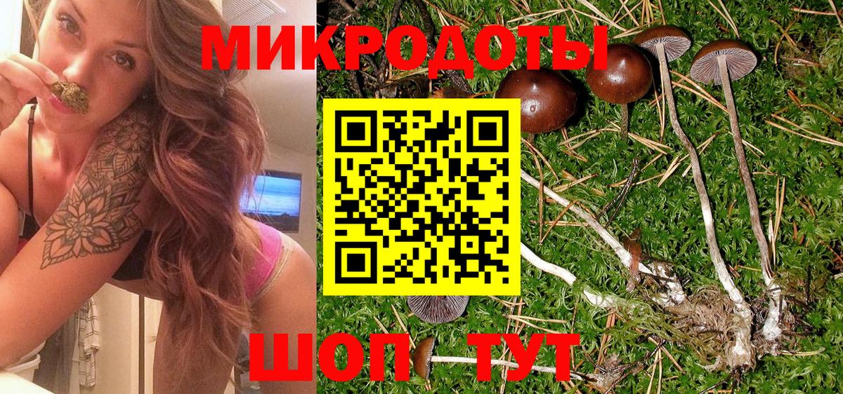 Псилоцибиновые грибы прущие грибы Улан-Удэ
