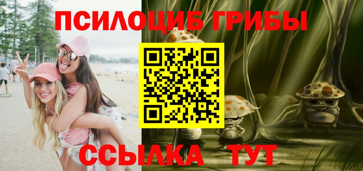 Псилоцибиновые грибы Psilocybine cubensis  Вход с VPN  Улан-Удэ 